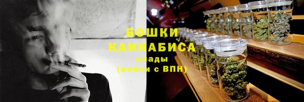 мдпв Лиски