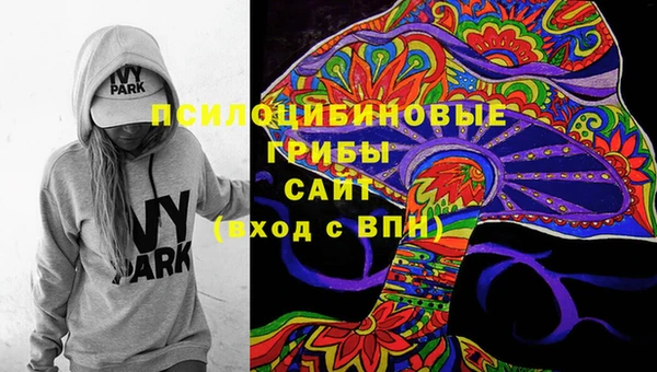 стаф Гусь-Хрустальный