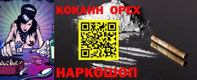 дживик Гай