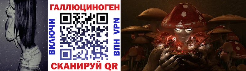 Галлюциногенные грибы ЛСД  darknet состав  Дальнереченск 