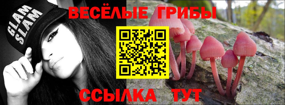 Галлюциногенные грибы Cubensis  Дальнереченск 