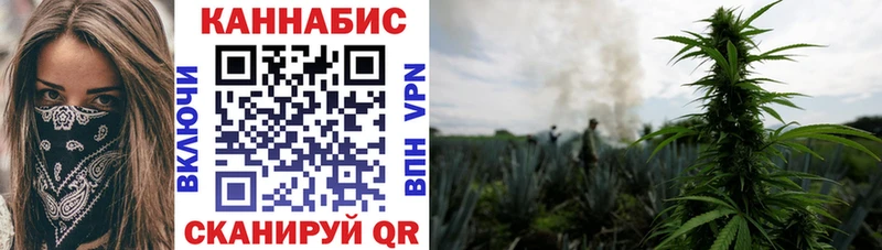 дарк нет как зайти  Дальнереченск  Бошки Шишки план 
